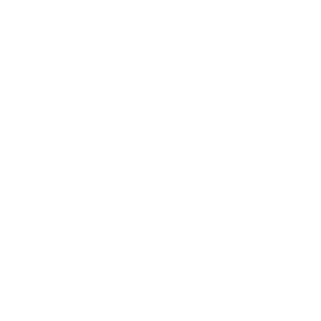 SpiritBe Technology Logo